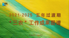 5年过渡期“三农”工作成果图谱与实践招募计划正式启动